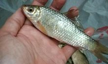 早上5点起床,坚持14年,人生会怎样?