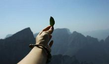 渐行渐远的梦想