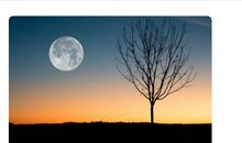 经典语录：我不怕被骗，我怕刚刚相信一个人就被骗