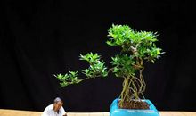 带上梦想，负重前行