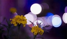 每一天都需要坚强