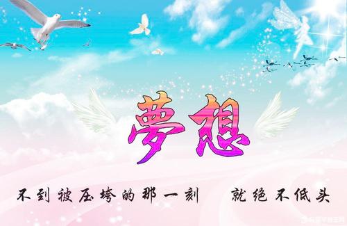 梦想不是编织