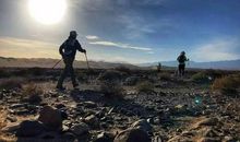 别在该放弃时，错误地选择坚持