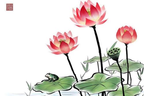 成功的三大法则：莲花法，竹法，金蝉法