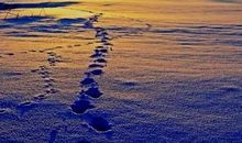 洛克菲勒:人生就是一个不断抵押的过程,你需要勇敢,再勇敢