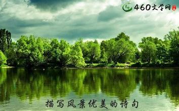 220句无奈的句子