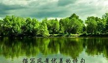 无奈的句子220句