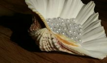 读《把握一颗珍珠的幸福》有感