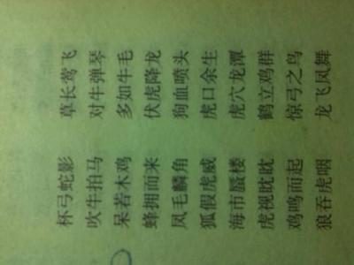 描述植物的四个字符的单词