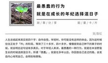 最愚蠢的行为，就是在成长的年纪选择混日子