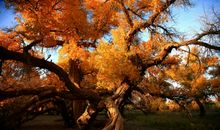 坚守自己的信念，播下希望的种子