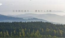 为了诗和远方,你不知道别人有多拼