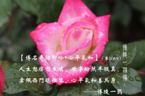 和平经文