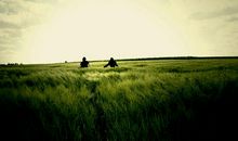 浓浓的乡情诗歌