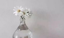 很干净的4句话，终生受用