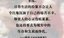 经典语录:我用尽了全力,过着平凡的人生