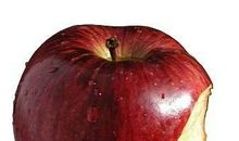 我们都是被上帝咬过的苹果