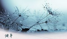 优秀的人都受益的9个好习惯