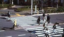 经典语录：承受得太多是亏欠，付出得太多是心碎