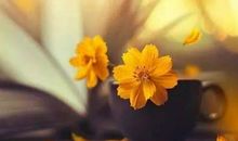 出彩的人生,都懂得迎难而上