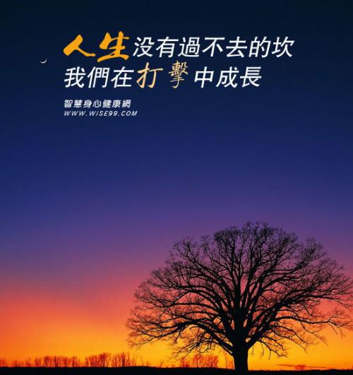 没有障碍
