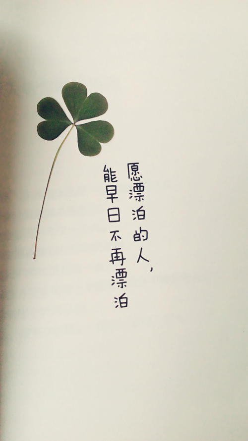 经典语录：相信，没有明天