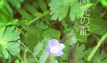 为平凡生活付出努力,就是人生的小确幸