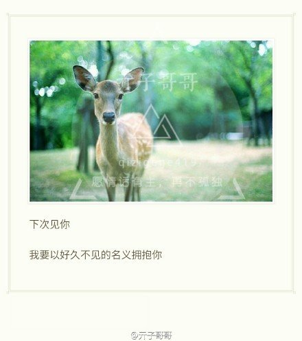 经典语录：下次见，我以长久的名义拥抱你不见