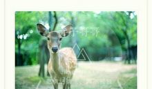 经典语录:下次见你,我要以好久不见的名义抱你