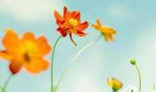 相信自己，阳光总在风雨后