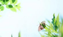 不辜负现在的人生,才是对自己最大的尊重