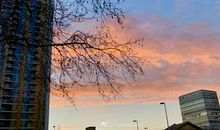 用清晨时间实现一万小时计划