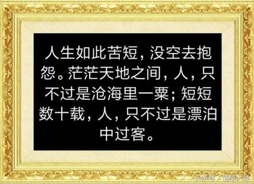聪明的人，一辈子不要说五个