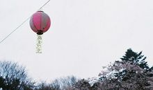 高中生励志文章：向人生的高空飞翔