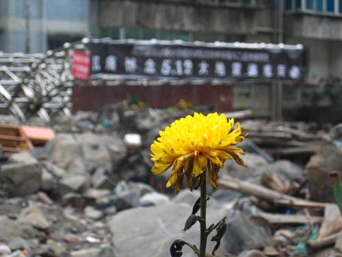 经典励志文章：花朵与废墟