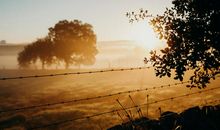 黎明是世上增值最快的一块土地