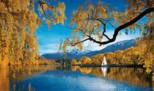 总有一条路通向梦想