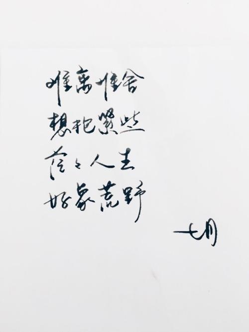 审美会议句