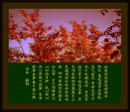 关于环保的声明