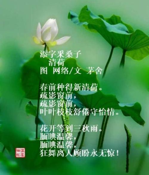 世界上最美的四首诗