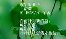 世界上最美的四首诗歌