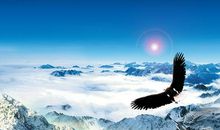 成功职业生涯的必经之路