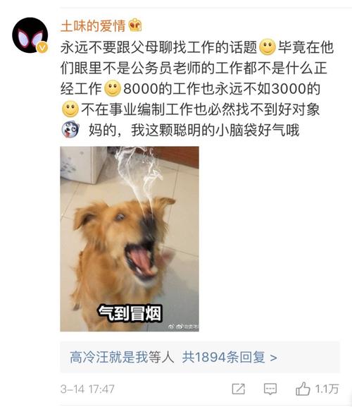 20万的年薪不及2000的月薪：对不起，没有工作是体面的