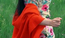 《尖叫的海棠》读后感