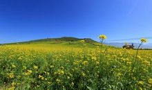 用什么洗涤我们的心灵呢？