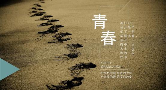 我谦卑的青春