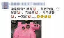 《啥是佩奇》观后感