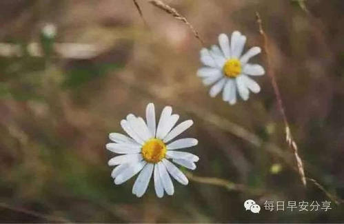 朋友圈中十大最励志名言