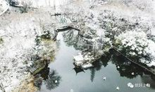 复旦女孩，于无声世界里听见花开