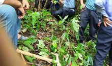 天堂街3号读后感